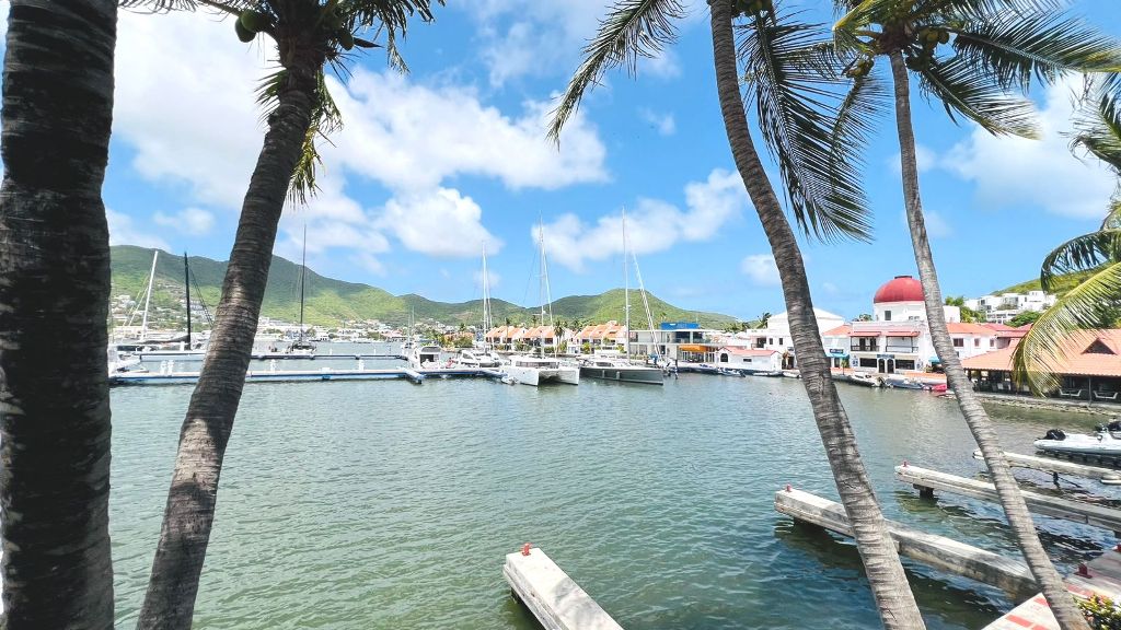 Simpson Bay Lagoon and marina seen through palm trees from the residence